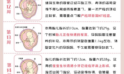 酒精和过氧化氢有什么区别网 - 网站提供过氧化氢和酒精的消毒原理相同吗小常识、过氧化氢可以和酒精一起使用吗